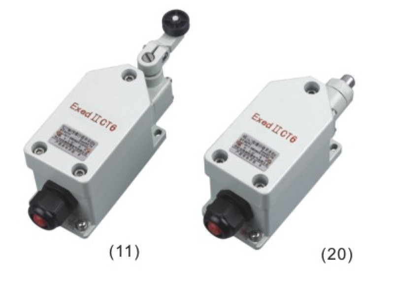 BZX8077-系列防爆行程開關(guān)(B、ExtD)