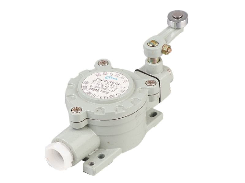 BZX51-系列防爆行程開關(C、ExtD)