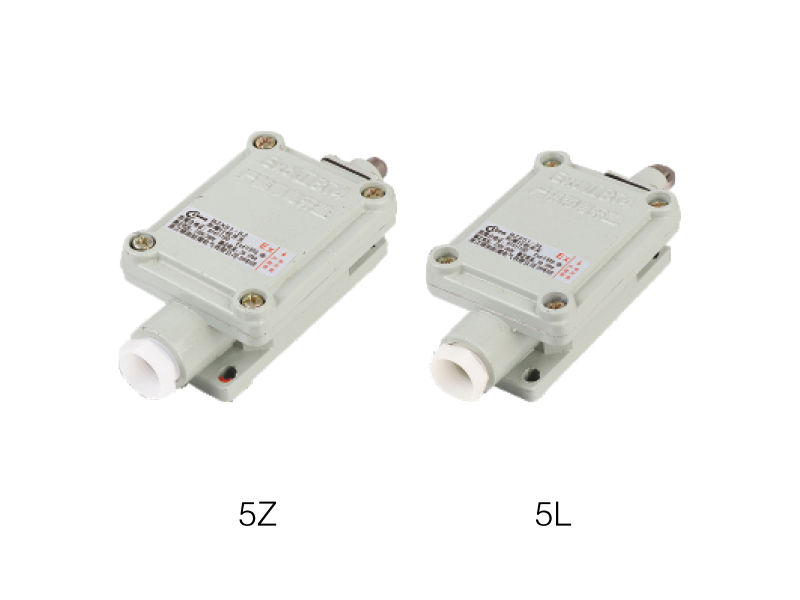 BZX51-系列防爆行程開關(guān)(ⅡB、ExtD)